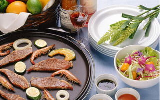 老太太烧烤加盟 投入42万即可开店创富